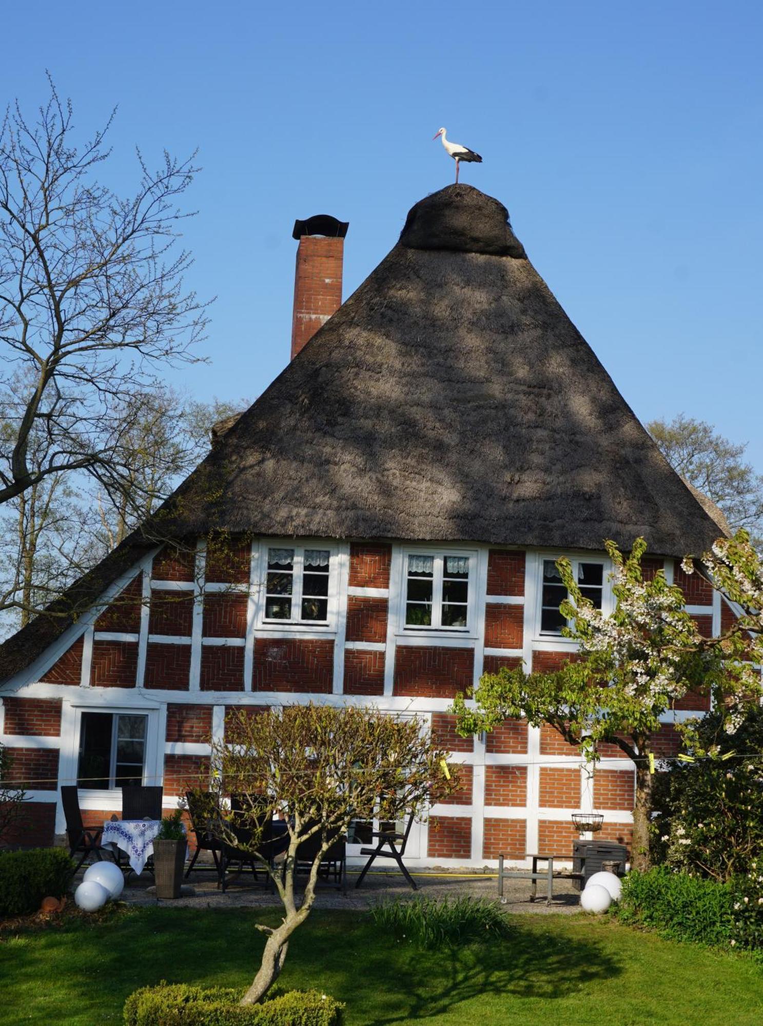 Altes Landhaus Oste, Klavier Appartement, 2 Zimmer Mit Kamin Hemmoor Exterior photo